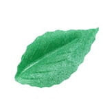 Dekoracja waflowa liście CZEREŚNI PISTACJOWE 10 szt. Rose Decor