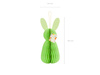 Talerzyki Lew, mix, 18 cm (1 op. / 6 szt.)