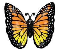 #BFK Balon foliowy helowy XL Monarch butterfly glow