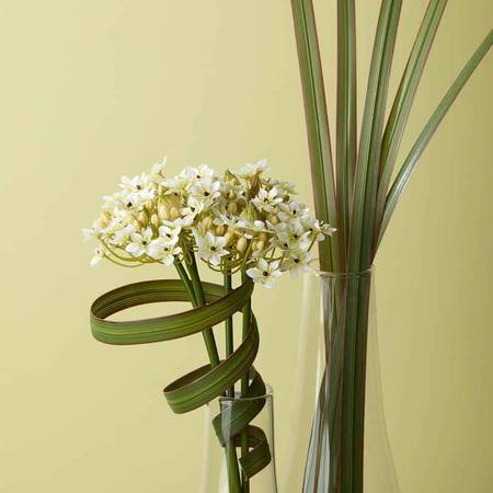 Liść 91 Fiore