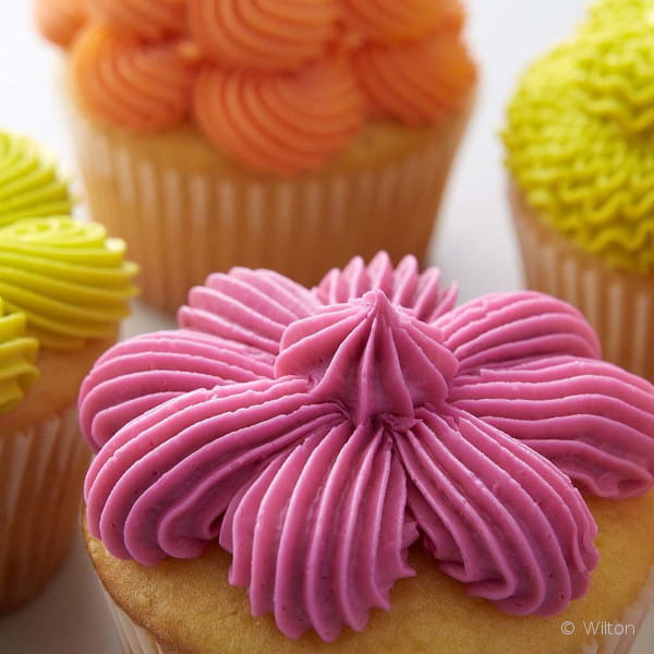 Tylka Wilton 32 w połączeniu z adapterem couplerem