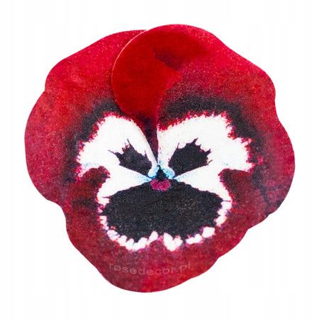 Kwiaty waflowe na tort muffinki BRATKI 5 szt. Rose Decor