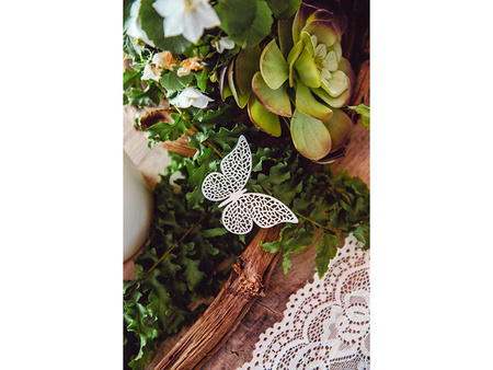 Dekoracje papierowe Motyl, 8 x 5cm (1 op. / 10 szt.)