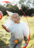 Balon foliowy Serce, 45cm, zieleń