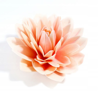 Dekoracja waflowa Dalia PUDROWA śr. 12,5 cm Rose Decor