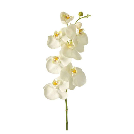 Kwiat Phalaenopsis 85 biały Fiore