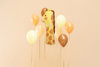 Balon foliowy Kurka, 48x60 cm, mix
