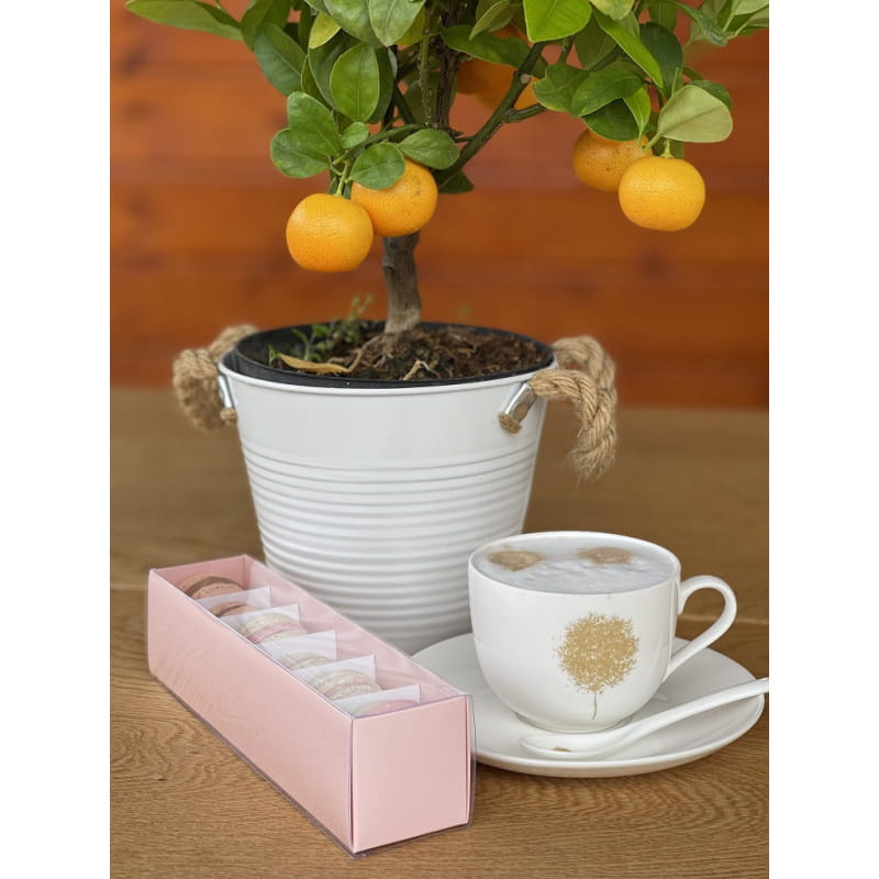 Komplet elementów różowego opakowania na 6 makaroników – tacka, wkładka harmonijkowa i pokrywka