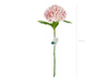 Topper na tort Jamnik, 9x17 cm, mix