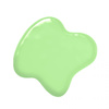 Barwnik olejowy do mas tłustych MINT 20 ml Colour Mill