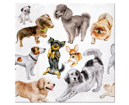 #ZSE Serwetki papierowe PAW Dogs Happiness 33x33 cm / 20 szt.
