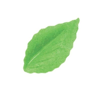 Dekoracja waflowa liście ZIELONE OLIWKA 100 szt. Rose Decor