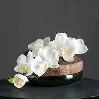 Kwiat Phalaenopsis 85 biały Fiore