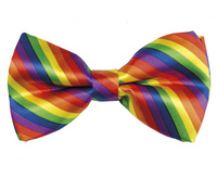 #STAI Mucha Tęczowa