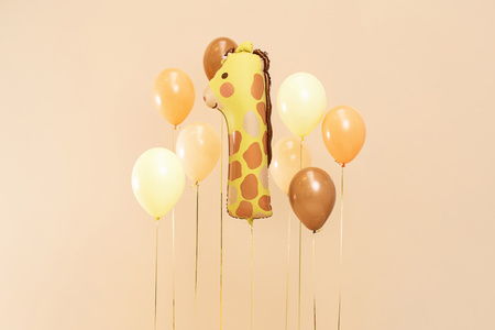 Balon foliowy Kurka, 48x60 cm, mix