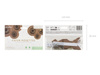 Baner papierowy Happy Birthday, mix, 220x14.5 cm