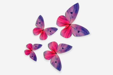 Dekoracja waflowa na tort muffinki MOTYLKI FIOLETOWE 10 szt. Rose Decor