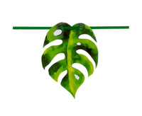 #DEBA Banner papierowy Palmowe liście, 3 m.