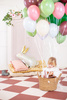 Talerzyki Lew, mix, 18 cm (1 op. / 6 szt.)