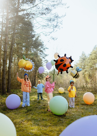Balon foliowy Biedronka, 85x83 cm, mix
