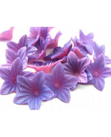 Dekoracja waflowa na tort KWIATUSZKI MINI FIOLETOWE 20 szt. Rose Decor