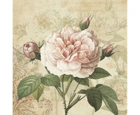 #ZSE Serwetki papierowe Vintage Rose with Buds, 33 x 33 cm, 20 szt.