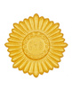 Złoty