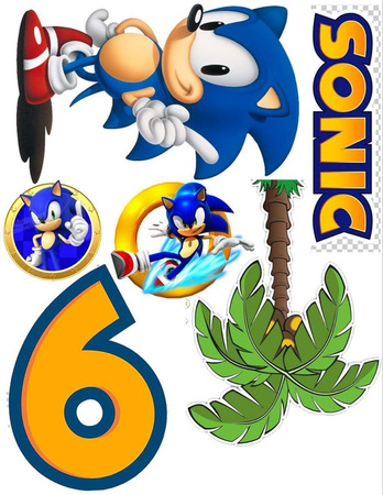 Wydruk jadalny SONIC  WZ.VI