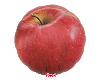#BFK Balon Ibrex Hel, okrągły 14", Apples, 5 szt.