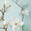 Kwiat Magnolia 140 biały Fiore