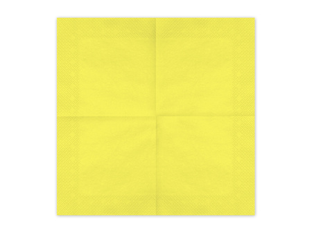 Serwetki papierowe, jasny niebieski, 33x33cm (1 op. / 20 szt.)