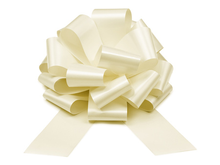 Dekoracja Pajęczyna, biały, 5x4m