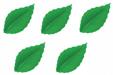 Dekoracja waflowa liście ZIELONE 100 szt. Rose Decor