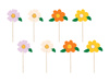 Balony 30cm, Boy or Girl, mix (1 op. / 6 szt.)