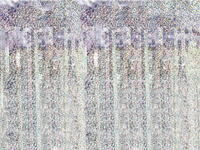 Kurtyna Party, holograficzny, 100x200cm