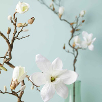 Kwiat Magnolia 140 biały Fiore