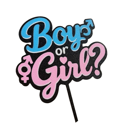 Topper na tort 16x12 cm BOY OR GIRL GENDER REVEALWZ.I
