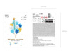 Obrus papierowy Game, mix, 180x120 cm