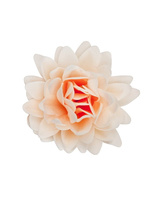 Dekoracja waflowa Aster ŁOSOSIOWY śr. 12,5 cm Rose Decor