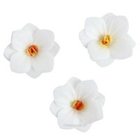 Dekoracja waflowa Hortensja BIAŁA 6 szt. Rose Decor