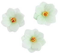 Dekoracja waflowa Hortensja ZIELONA 6 szt. Rose Decor