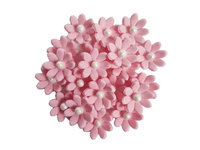 Kwiaty cukrowe na tort STOKROTKI RÓŻOWE Slado