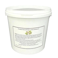 Pralina PISTACJOWA z herbatnikami, croquant 1,5 kg Grejt Kejk