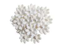 Kwiaty cukrowe na tort STOKROTKI BIAŁE Slado