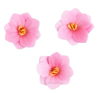 Dekoracja waflowa Hortensja JASNO RÓŻOWA 6 szt. Rose Decor