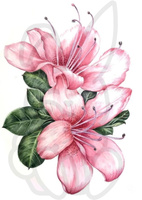 Wydruk jadalny opłatek na tort KWIATY KWIATKI RÓŻOWE WZ. I