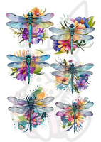 Wydruk jadalny WAŻKI