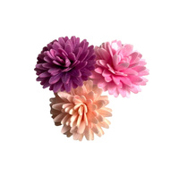 Stokrotka pomponikowa 3 szt. MIX KOLORÓW Rose Decor