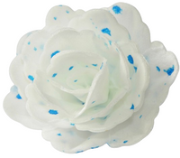 RÓŻA Pastella NAKRAPIANA NIEBIESKA 5,5 cm Rose Decor