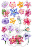 Wydruk jadalny Opłatek na tort KWIATY POLNE MIX WZ. I